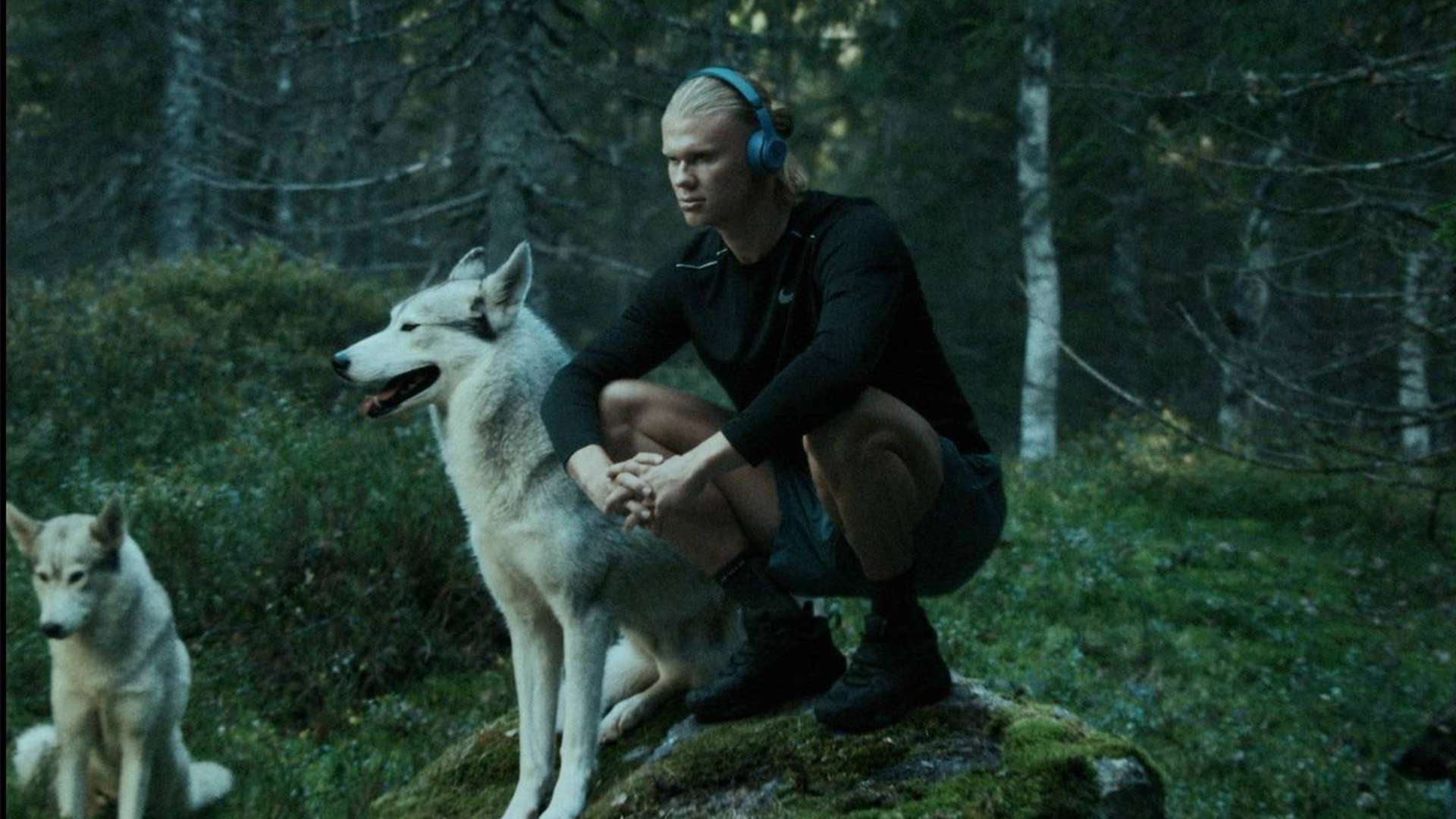 如此一来 如此一来